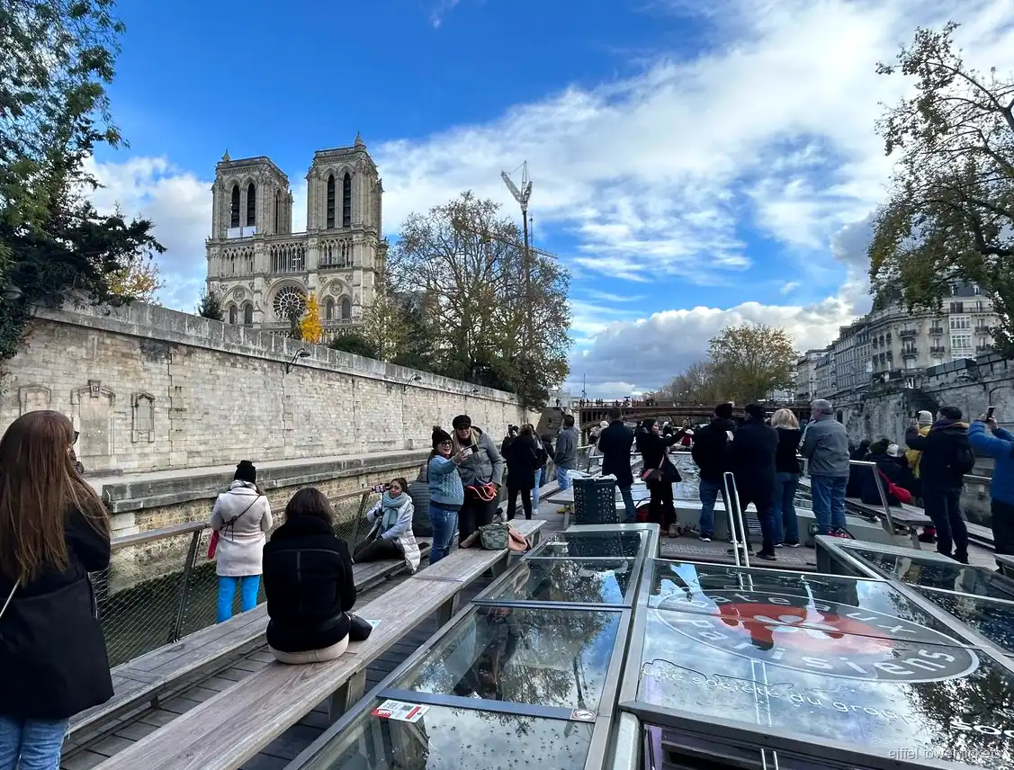 Bilhetes de cruzeiro da Torre Eiffel: vista de Notre-Dame do rio