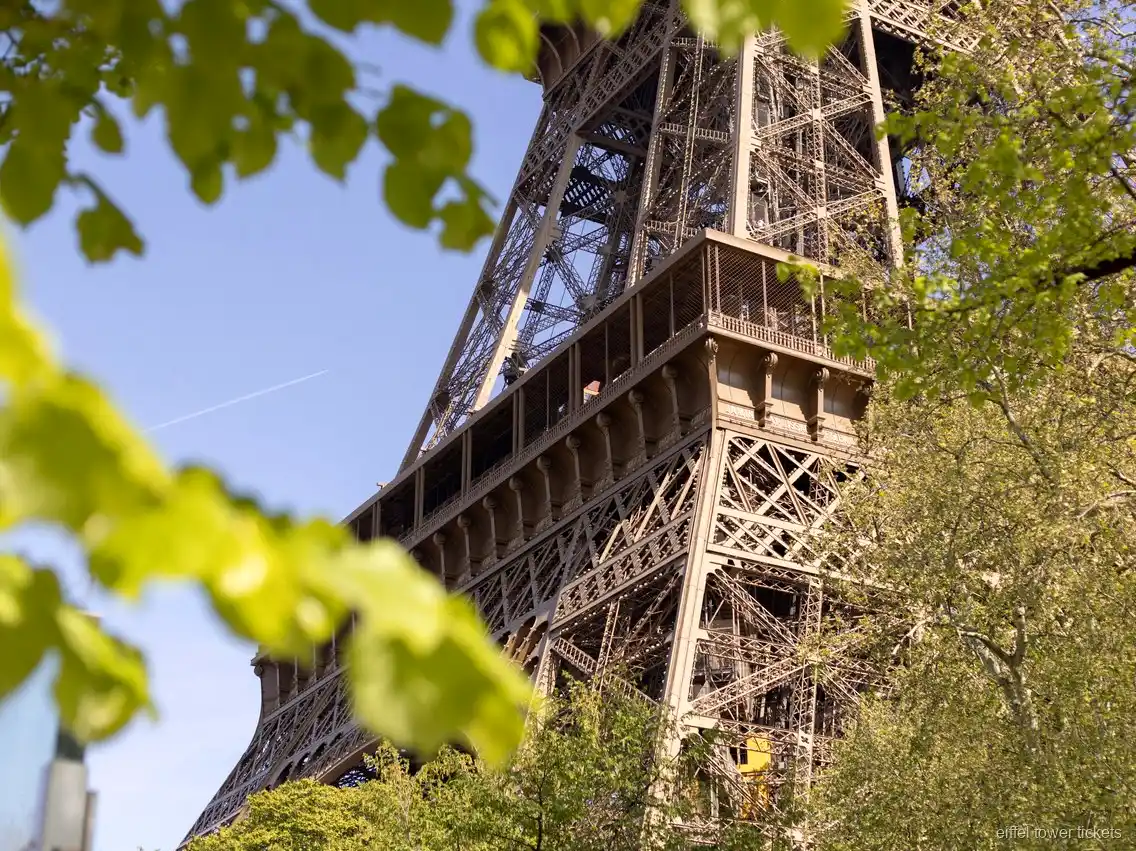 Champagne toast during an Eiffel Tower dinner