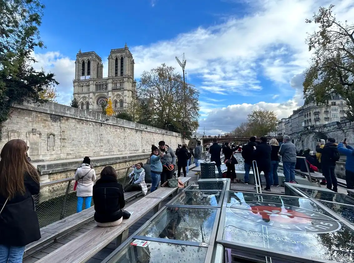 Eyfel Kulesi gezi biletiyle nehirden Notre-Dame manzarası