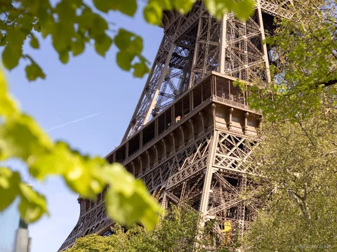 Brinde com champanhe durante um jantar na Torre Eiffel