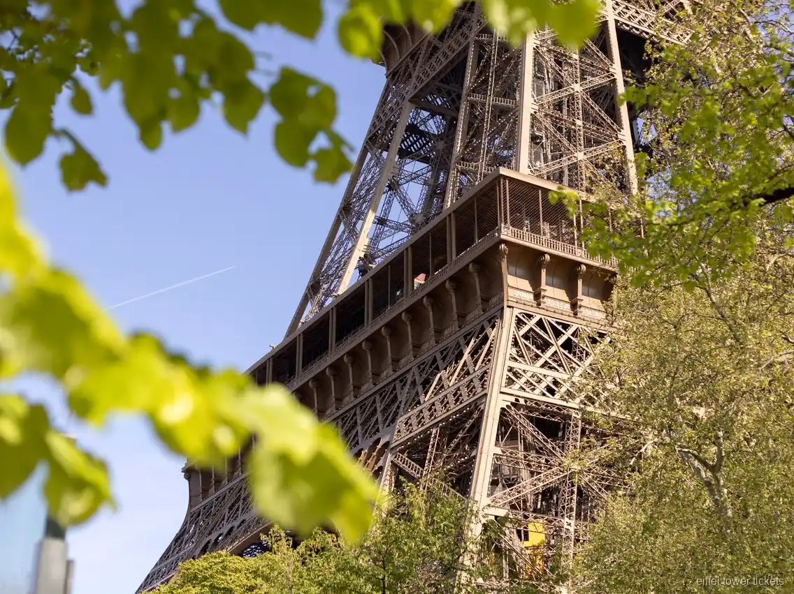 Brinde com champanhe durante um jantar na Torre Eiffel
